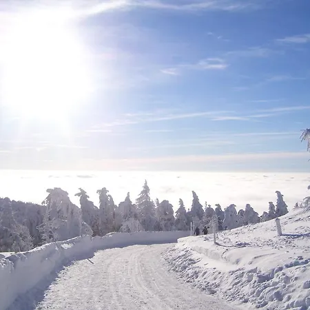 Appartement Heine Apartment-friedegerns