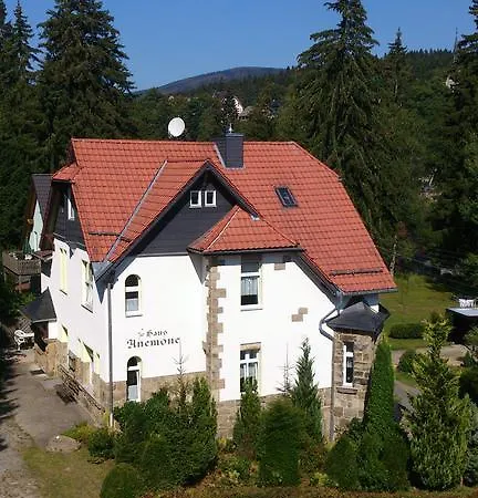 Heine Apartment