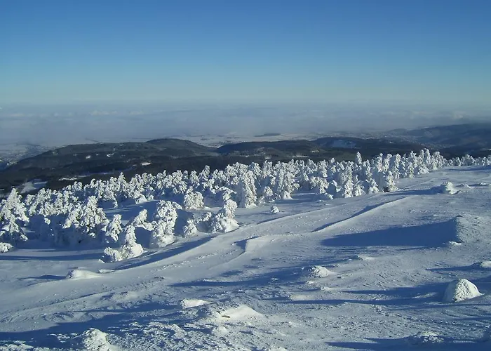 Heine Apartment-friedegerns * Schierke