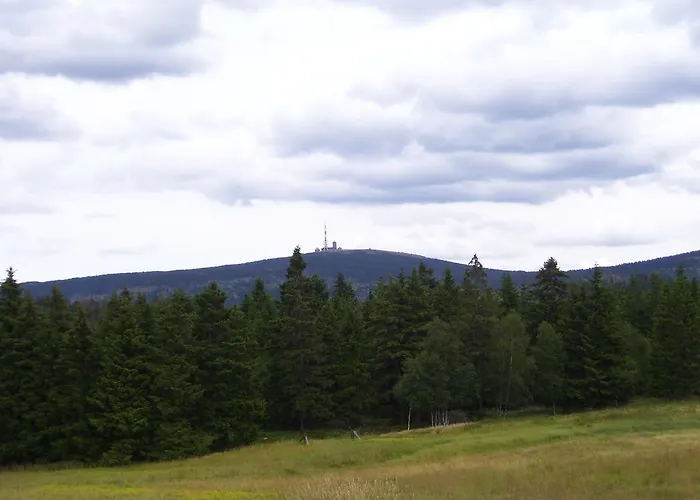 Heine Apartment-friedegerns