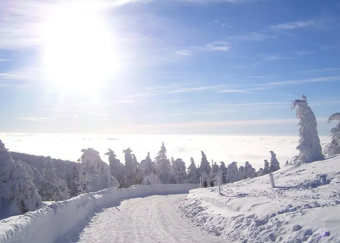 Διαμέρισμα Heine Apartment-friedegerns